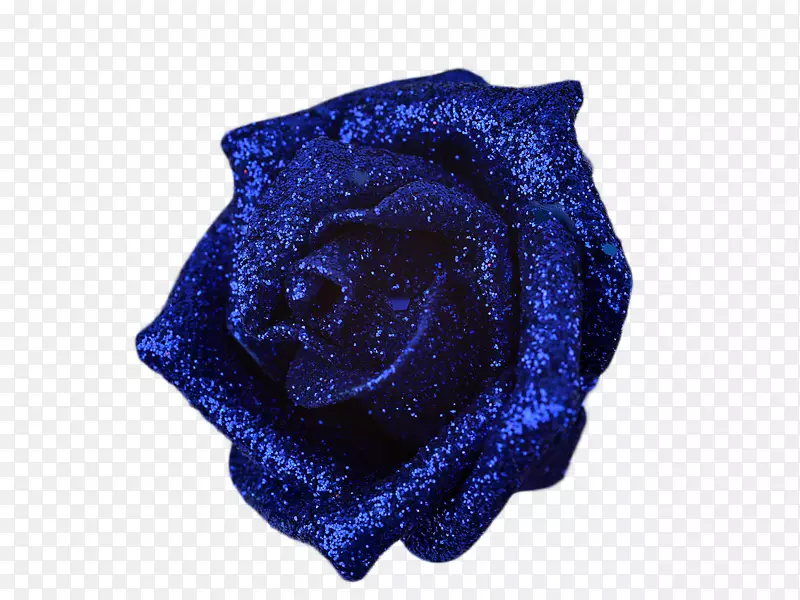 高清蓝色玫瑰花