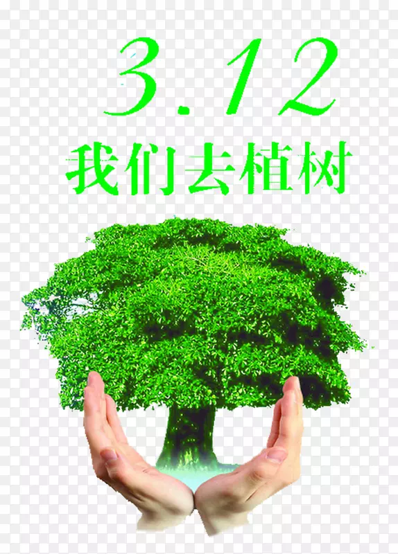 绿色手捧绿树3.12我们去种树