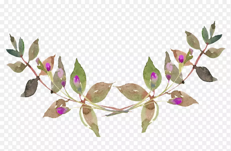 手绘水彩植物叶子装饰