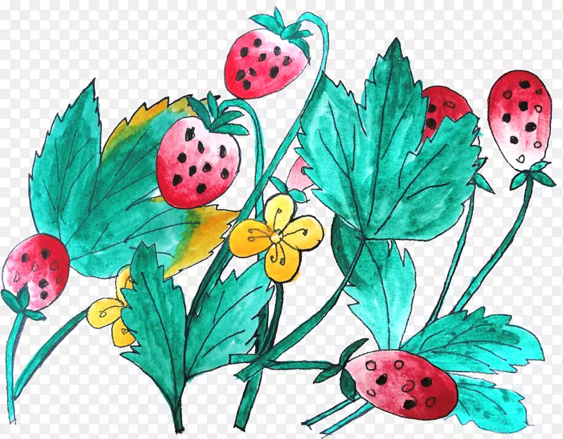 彩绘草莓植物插画素材