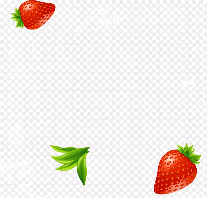 精美水果清新草莓