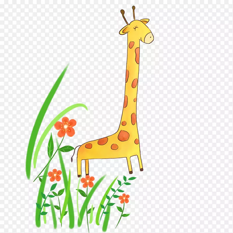 长颈鹿和花草