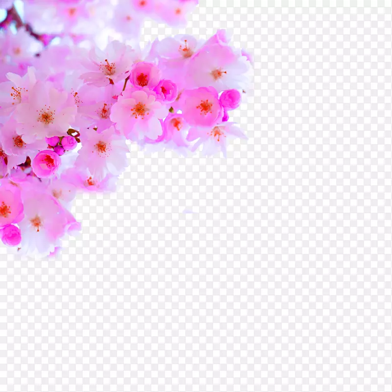 粉红色小清新桃花装饰图案