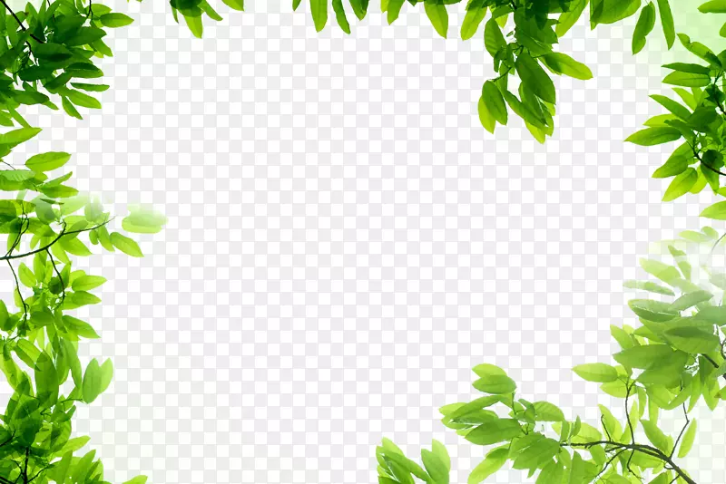 清新文艺绿色树叶装饰边框