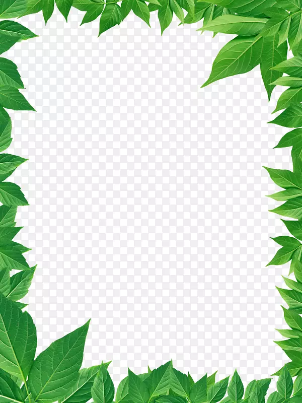 绿色清新护眼树叶装饰边框