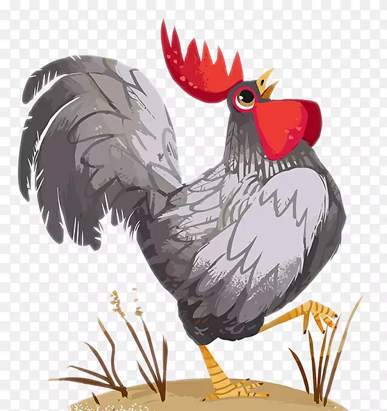 手绘插画鸡