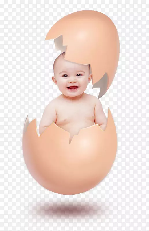 蛋壳里的宝宝