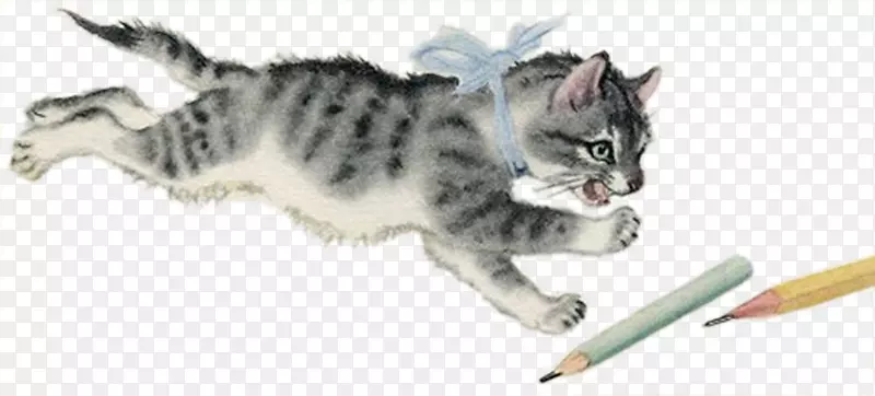 手绘水彩猫抓铅笔