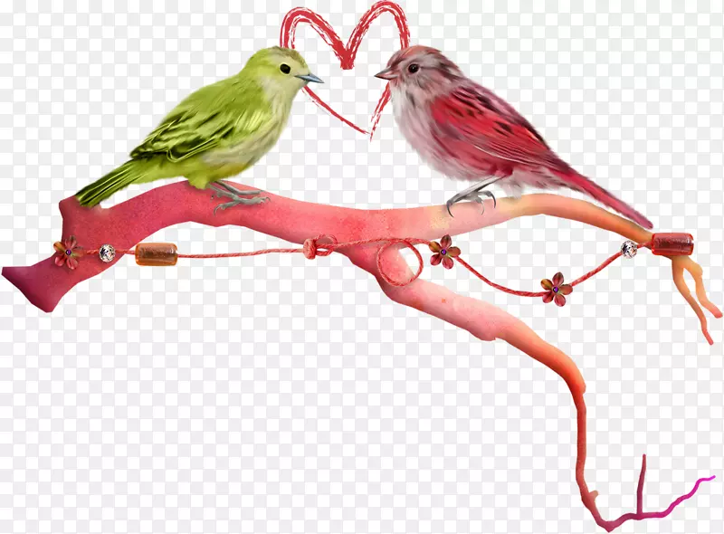 情人节爱心情侣鸟