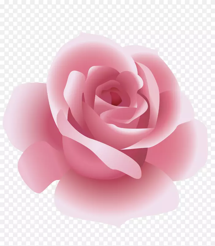 卡通粉色玫瑰花