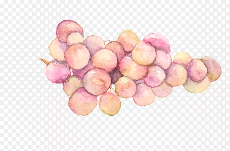 手绘水彩葡萄