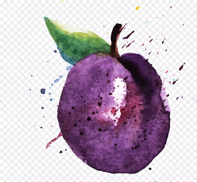 夏季手绘紫色葡萄