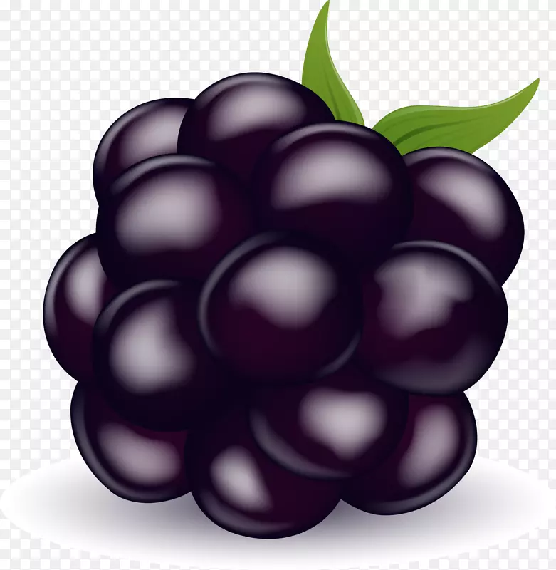 紫色卡通葡萄
