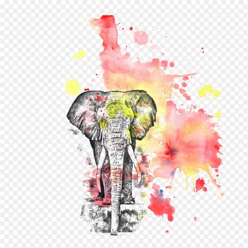 彩色的水墨大象效果图