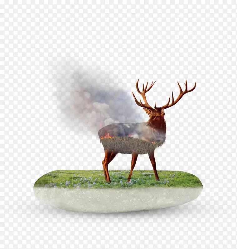 保护环境燃烧的鹿插画免抠
