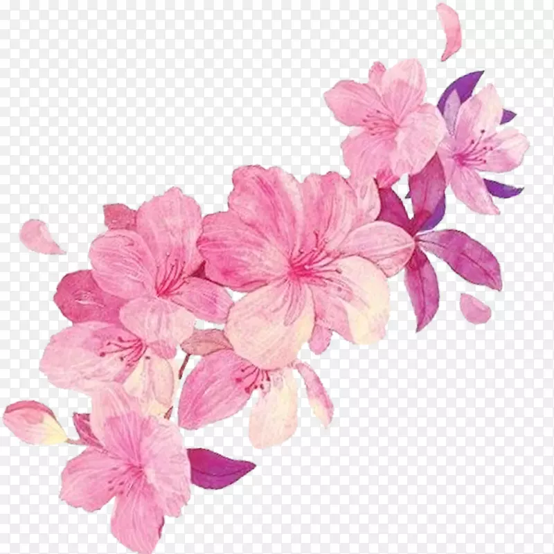 工笔画粉色花朵