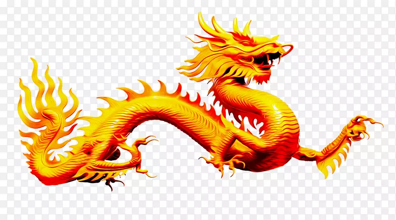 华丽金色的龙免抠素材