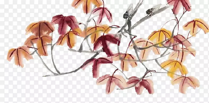 水彩画枫叶