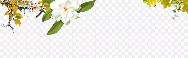 白色树枝梨花栀子花装饰图案