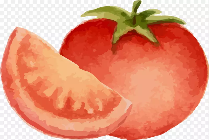 红色手绘西红柿