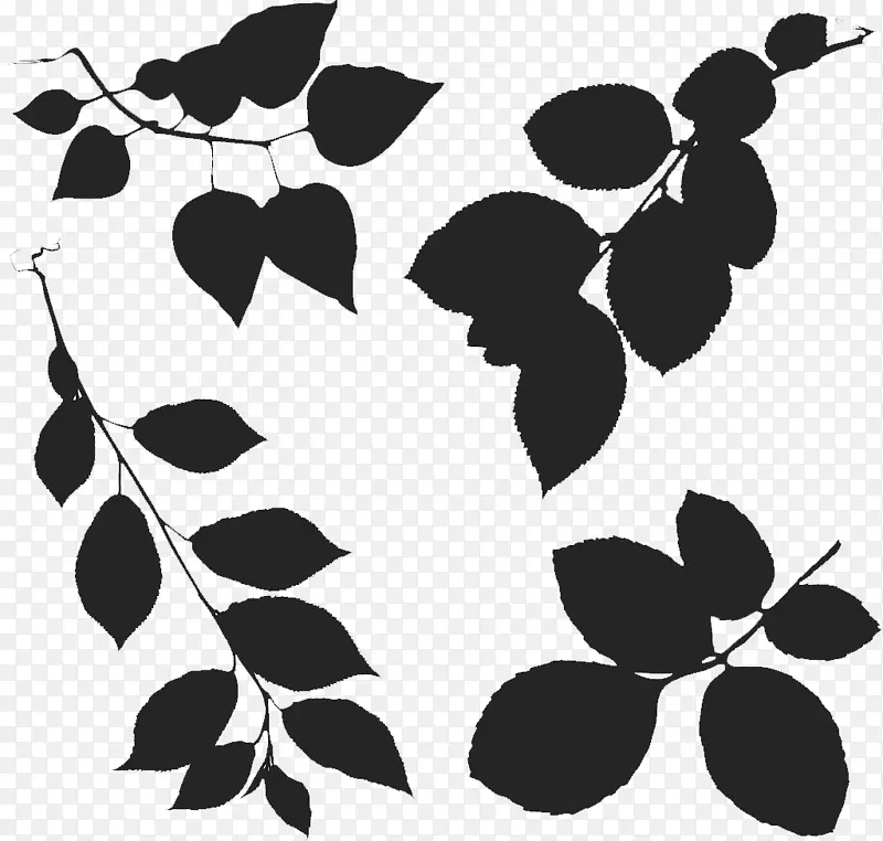 黑白装饰插图树叶