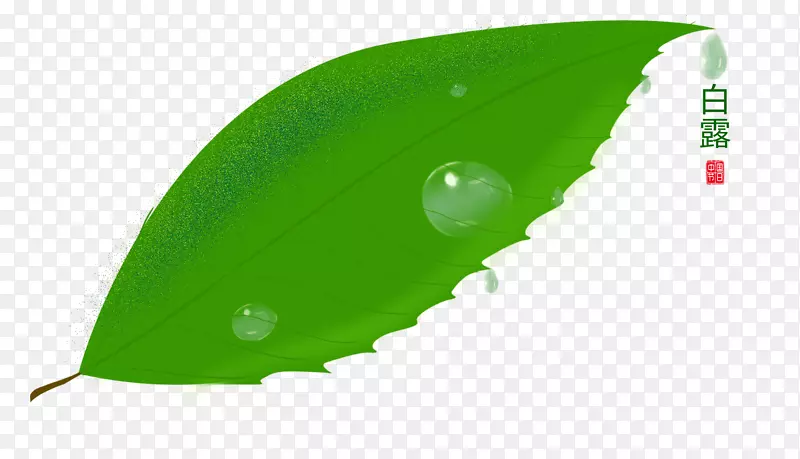 卡通露水PNG下载