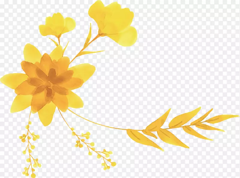 手绘黄色花束标题框