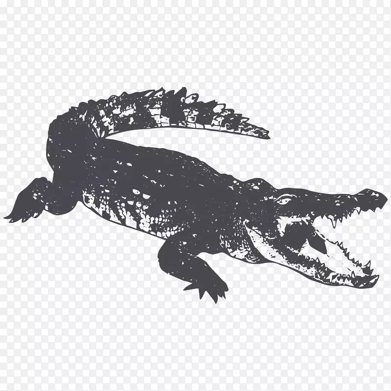 手绘黑色素描鳄鱼