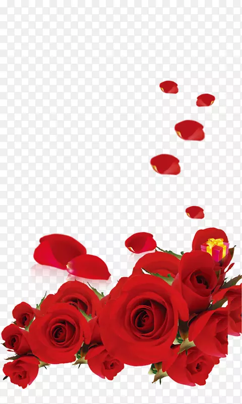 红色玫瑰花的爱恋