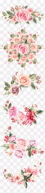 花朵合集