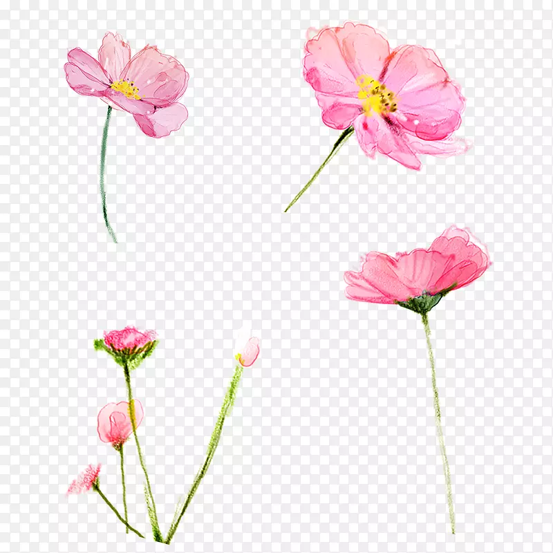 卡通手绘粉色花朵插画合集