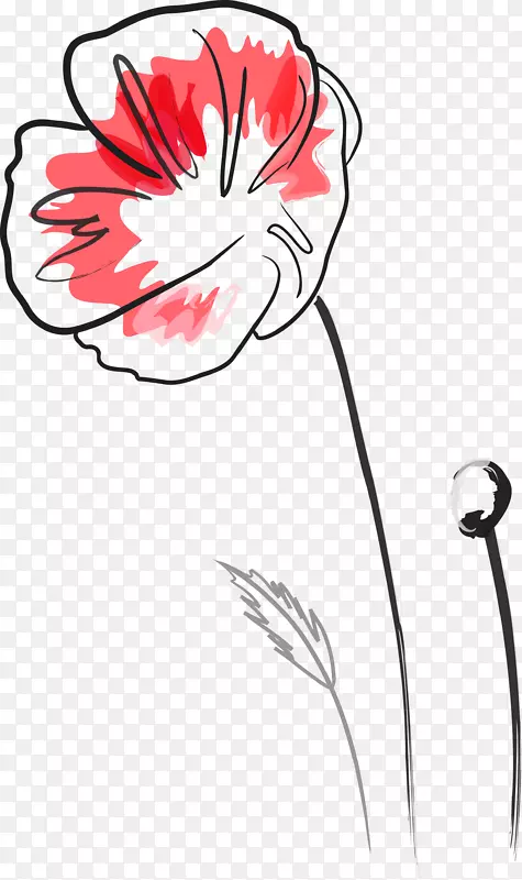 红色手绘罂粟花