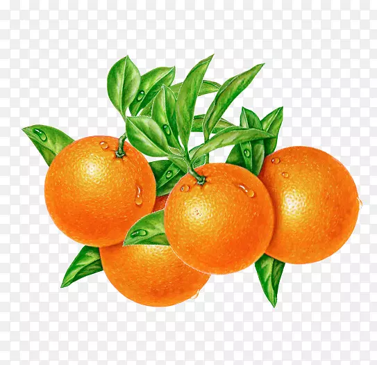 彩绘橙子