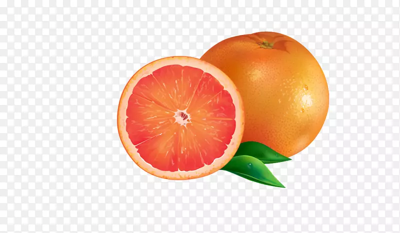 矢量黄色橙子甜橙水果图案