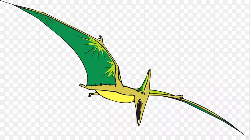 飞行的古代恐龙