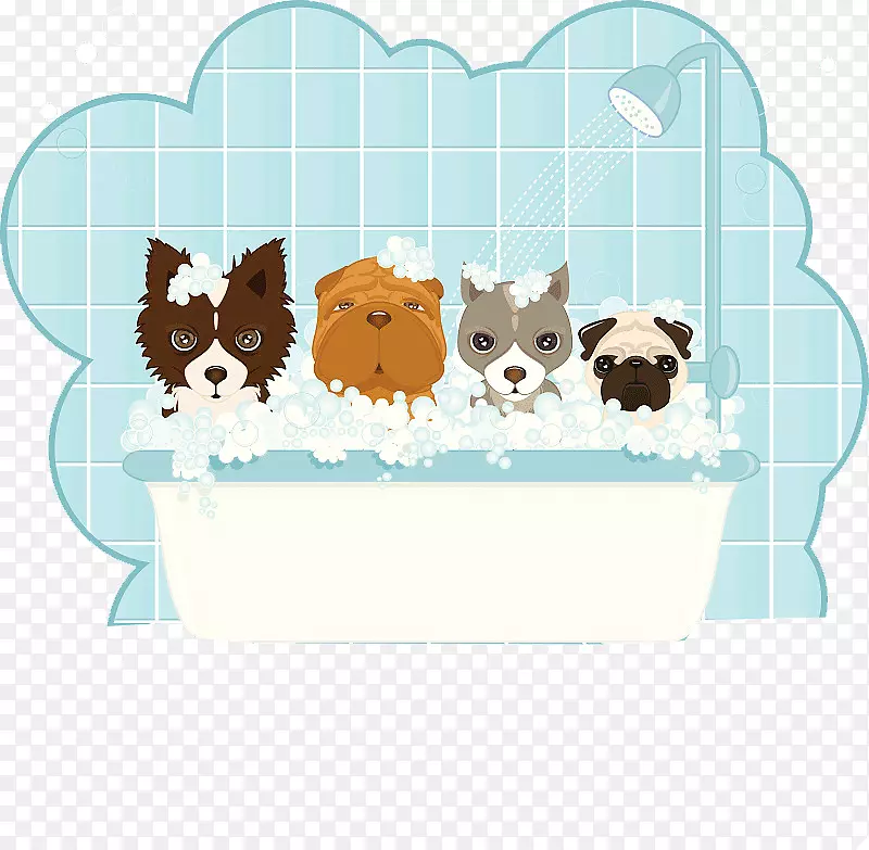 一起共同洗澡澡的动物们