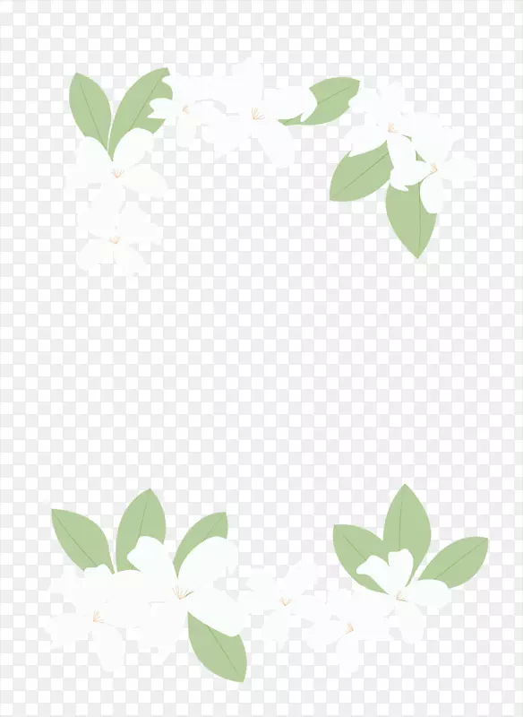 浪漫白色花朵边框