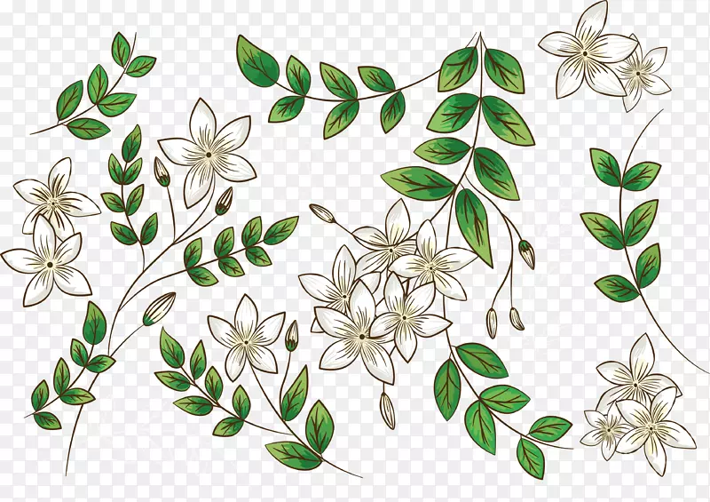手绘浪漫茉莉花