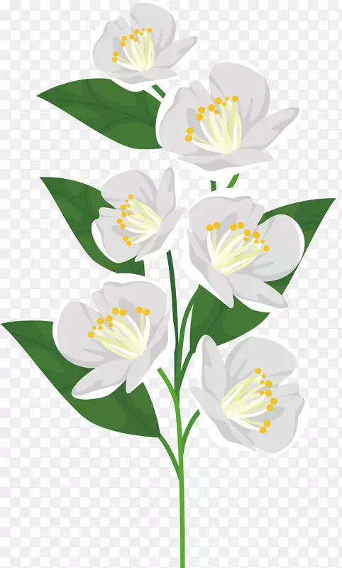 白色的浪漫花枝