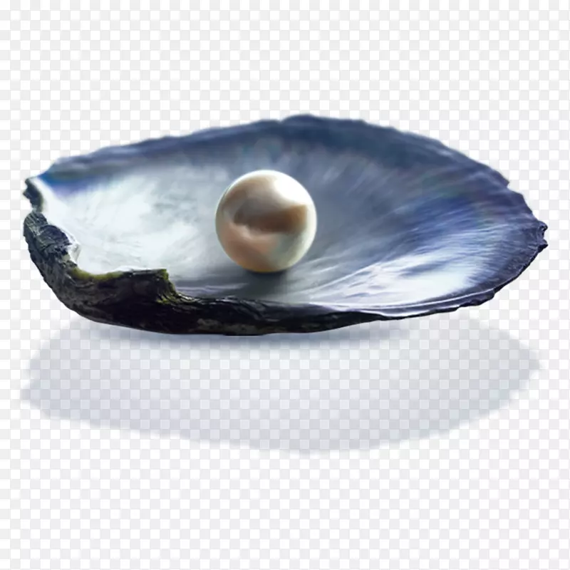 珍珠和蚌
