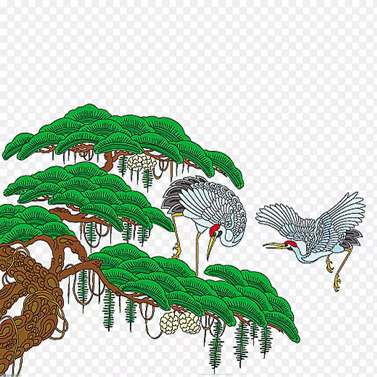 松树上的飞鹤