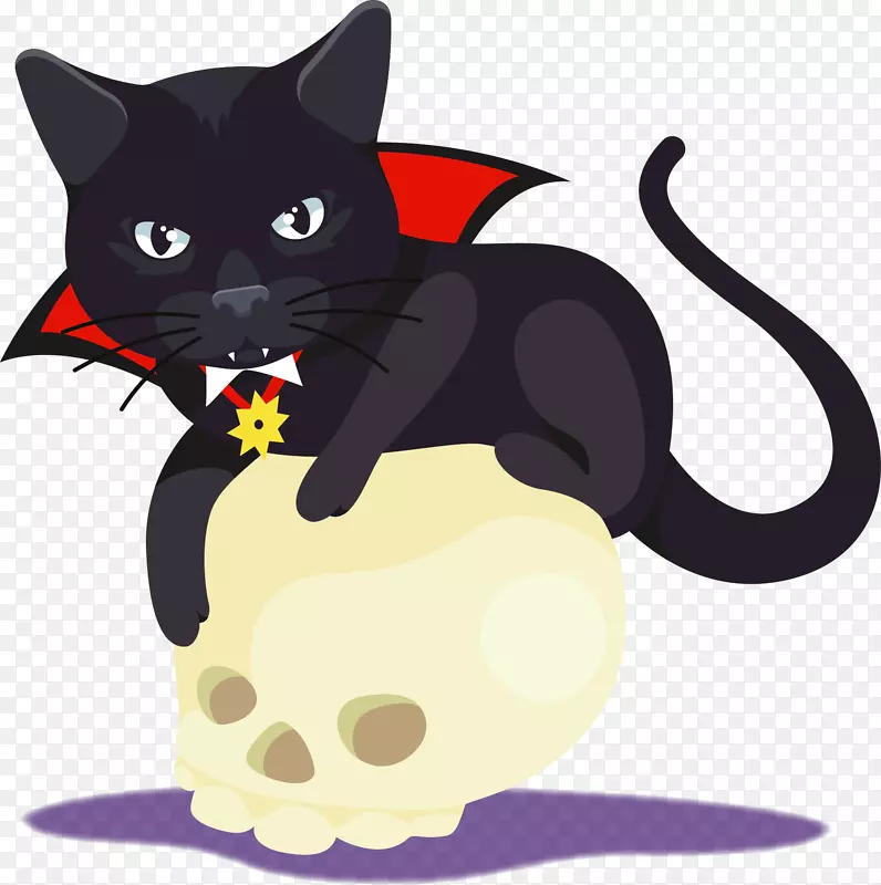 万圣节骷髅黑色猫咪