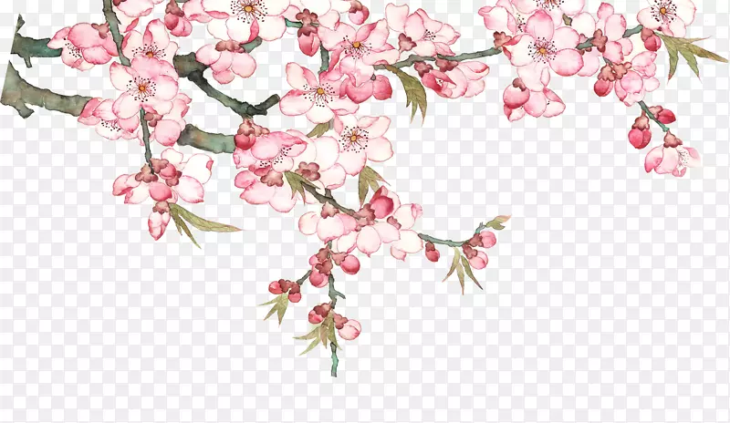 水彩绘桃花盛开桃树