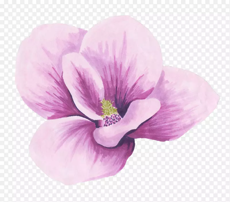 手绘水彩绘画立体紫色花卉