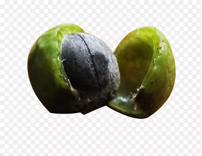 绿色切开的无患子