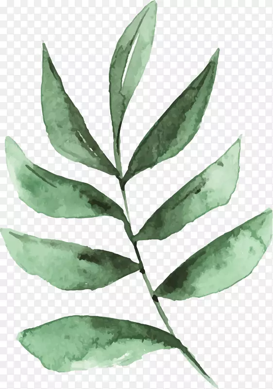 卡通手绘绿色植物树叶