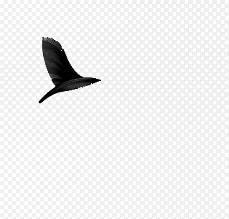 动物 手绘黑白 海鸥