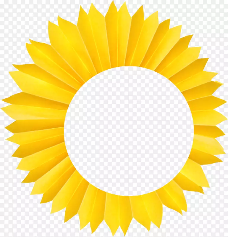 黄色花朵圆形边框