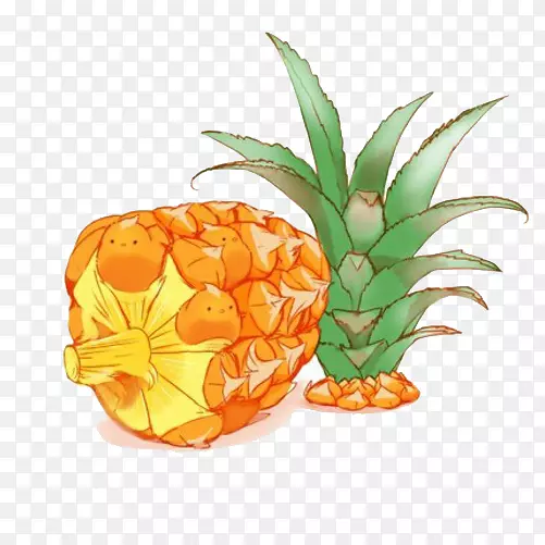 菠萝手绘画素材图片