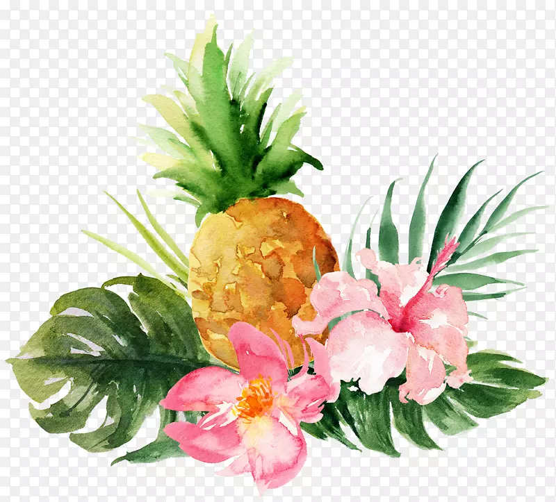 创意的菠萝花朵手绘
